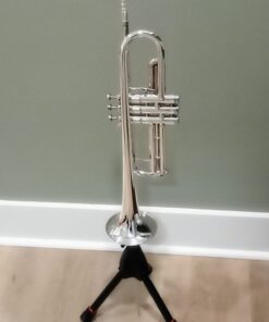 MusicNomad Silver Polish for Silver & Silver-Plated Instruments, 4 oz (MN701) 47 61xdVIX CrL