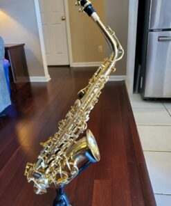 Eastar AS-Ⅱ Student Alto Saxophone E Flat Gold Lacquer Alto Beginner Sax Full Kit With Carrying Sax Case Mouthpiece Straps Reeds Stand Golden 28 61xgcOtRBL