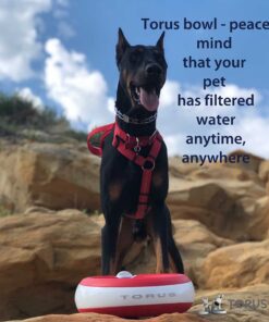 Torus Pet Maxi Filtered Water Bowl (Red) - 2-Liter - Travel - Home - Auto-Fill - Powerless Portable Dispenser – Food Grade – Antimicrobial - BPA-Free - Dog – Cat – No Spill - No Splash Red 27 61xgku7qaBL