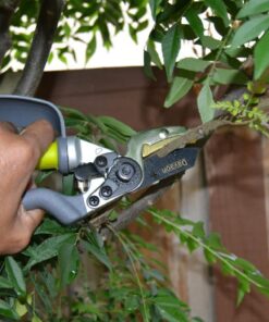 Davaon Pro Anvil Pruning Shears for Gardening - Achieve 30% More with Less Effort with These Premium Garden Pruners, Plant Shears for Razor-Sharp Precision, Hand Pruner with Ergonomic Grip Ergonomic Anvil 29 61xwbo3YpFL