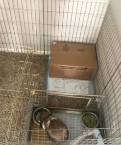 MidWest Homes for Pets Foldable Metal Dog Exercise Pen / Pet Playpen, Gold zinc w/ door, 24'W x 30'H, 1-Year Manufacturer's Warranty 30" H 50 61xy Uy27XL