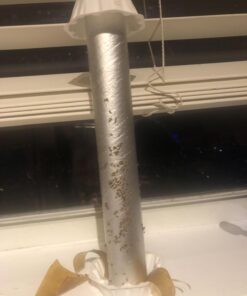 Fruit Fly Goodbye Gel Drain Treatment | Drain Fly Killer | Fruit Fly Killer | Drain Flies Treatment | Fruit Flies Treatment | Drain Fly & Fruit Fly Eliminator (1 Gallon) 37 61yHTONnnFL