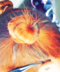 Just Jaivik 100% Organic Indigo Powder - 227 gms / 1/2 LB Pound / 08 Oz - Indigofera Tinctoria- A 100% Organic Hair Dye - Color your hair dark brown to black with Henna 30 61yP4rNKJYL