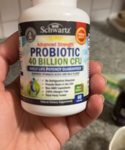 Daily Probiotic Supplement with 40 Billion CFU - Gut Health Complex with Astragalus and Lactobacillus Acidophilus Probiotic for Women and Men - Shelf Stable Pre and Probiotics for Digestive Health 30-Day Supply Probiotic 34 61yTlXht6yL