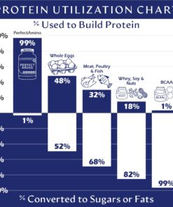 BodyHealth PerfectAmino Tablets (1PK), All 8 Essential Amino Acids with BCAAs + Lysine, Phenylalanine, Threonine, Methionine, Tryptophan, Supplement for Muscle Mass Production, Recovery & Strength 1 12 61yUFfFLLkL
