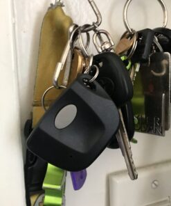 Firefly 300 multicode 3089, 3060, 3070, Compatible Keychain Remote with Better Range & You Pay Less! (Gray) 21 61ye4AeSZBL