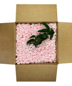 StarBoxes Anti Static Packing Peanuts, 6 Cu. Ft., White (PEANUTATI006) 14 61yk3jcZXAL