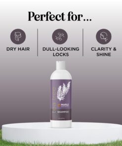 Tea Tree Shampoo for Oily Hair - Paraben and Sulfate Free Clarifying Shampoo for Build Up and Dry Scalp with Tea Tree Oil for Hair - Purifying Aromatherapy Tea Tree Oil Shampoo for Greasy Hair 16 61ypiPJ24ZL