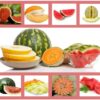 Heirloom Fruit Seeds- Non Hybrid- Real Survival Seeds. Honeydew Green Melon, Banana Melon, Honey Rock Cantaloupe, Watermelon Crimson Sweet, Sugar Baby Watermelon Seeds, Hales Best Jumbo Melon,Non GMO