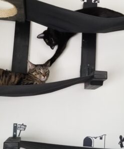 Advantage II Large Cat Vet-Recommended Flea Treatment & Prevention | Cats Over 9 lbs. | 2-Month Supply 2 Pack Large Cat only 39 61ysZFeVCdL 5