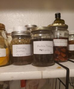 Avery All-Purpose Labels, 1.5 x 2.75 Inches, White, Pack of 76 (6117) Multi 5 61z 88RZ1SL