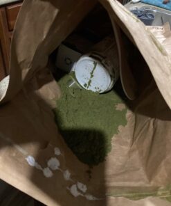 Garden of Life Raw Organic Perfect Food Green Superfood Juiced Greens Powder - Original Stevia-Free, 30 Servings, Non-GMO, Gluten Free Whole Food Dietary Supplement, Alkalize, Detoxify, Energize 30 Servings (Pack of 1) 34 61z xXgUqL