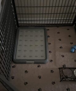 Amazon Basics Dog and Puppy Pee Pads with Leak-Proof Quick-Dry Design for Potty Training, Standard Absorbency, Regular Size, 22 x 22 Inches, Pack of 100, Blue & White Unscented Regular (100 Count) 25 61z2c6OnGUL 3