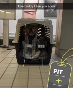 Petmate Vari Dog Kennel 40", Taupe & Black, Portable Dog Crate for Pets 70-90lbs, Made in USA 40"L x 27"W x 30"H Kennel Only 45 61zFEEjtzL