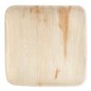 EcoGecko 10" SQUARE Palm Leaf plate / 100-ct case 16 61zOKYjWiGL