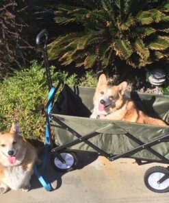 Mac Sports Folding Steel Frame Garden Utility Wagon Cart, Green (for Parts) 46 61zXJYUhiL