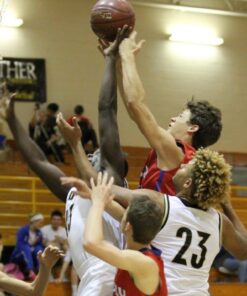 ZOMEI Heavy Duty Camera Tripod Travel Z818 Aluminium Alloy Monopod with 360 Panorama Ball Head Quick Release Plate(Orange) Orange 36 61zYEQJciDL