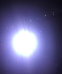 Dorcy 55 Lumen Floating Water Resistant LED Flashlight with Carabineer Clip, Pink ( 41-2509) 24 61zc9505MaL