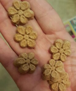 Fruitables Dog Treats Pumpkin & Apple Flavor, 7 oz 7 Ounce (Pack of 1) Pumpkin and Apple 19 61zeRbigugL