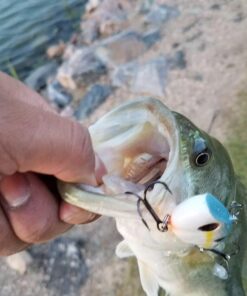 Entsport E Series - Camo Legend 2-Piece 7-Feet Casting Rod 24 Ton Carbon Fiber Baitcasting with 2 Tips - Medium and Medium Heavy Portable Bass Fishing Rod Baitcaster 46 61zkhLDocjL