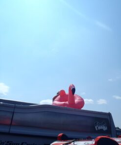 GoFloats Flamingo Pool Float Party Tube - Inflatable Rafts, Adults & Kids 33 61zwtgsajCL