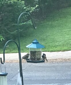 Ogrmar Hanging Gazebo Wild Bird Feeder -Perfect for Garden Decoration and Bird Watching for Bird Lover and Kids (Green) 43 71 2LFZmcL