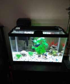 Penn-Plax Deco-Replicas Granite Aquarium Ornament & Hideaway – Realistic Stone Appearance – Safe for Freshwater and Saltwater Tanks – Small Size, White (RR1071) 34 71 2pbTQtdL