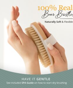Belula Premium Dry Brushing Body Brush Set- Natural Boar Bristle Body Brush, Exfoliating Face Brush & One Pair Bath & Shower Gloves. Free Bag & How To – Great Gift For A Glowing Skin & Healthy Body 29 71 4ac7zkFL 2