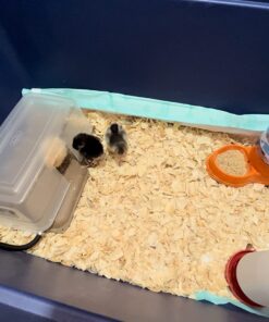 K&H Pet Products Thermo-Peep Heated Pad Tan Petite 9 X 12 Inches 35 71 4gUZN5L 1