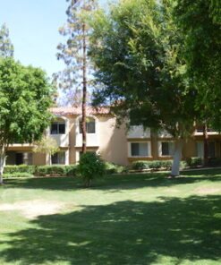 Nikon D3200 24.2 MP CMOS Digital SLR with 18-55mm f/3.5-5.6 Auto Focus-S DX VR NIKKOR Zoom Lens (Black) (OLD MODEL) Black w/ 18-55mm Base 50 71 6UULnacL