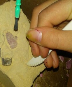 4M Kidzlabs Crystal Mining Kit, DIY Science Kit - Dig for gem Stones, For Boys & Girls Ages 5+ 52 71 7YsMOlAL 1