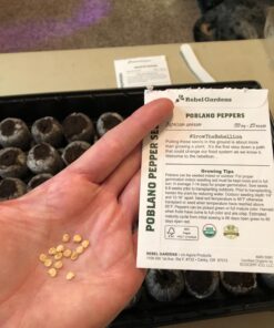 Hot Pepper Seeds - Organic Heirloom Chili Seed Variety Pack for Planting - Cayenne, Jalapeno, Habanero, Poblano, and More 38 71 7bSJdL