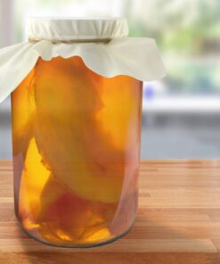 Cornucopia 1 Gallon Glass Kombucha Jar w/Cotton Cloth Cover & Plastic Lid for Storage after Brewing 15 71 7yjuVbL