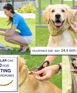 Arava Flea & Tick Collar - for Dogs & Puppies - Length-22'' - 11 Natural Active Ingredients - Safe for Babies & Pets - Enhanced Control & Defense 20 71 8XI4zIIL