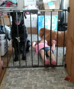 Toddleroo by North States 47.85" Wide Easy Swing & Lock Baby Gate - Series 1: Ideal for Wider Areas and stairways. Hardware Mount. Fits Openings 28.68" - 47.85" Wide (31" Tall, Matte Bronze) 46 71 FoeiKI5L