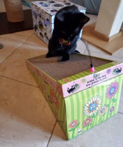 Petmate FAT CAT Big Mama's Scratch 'n Play Ramp Reversible Cardboard Toy 31 71 JxLleJYL