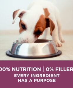 Purina ONE Plus Healthy Puppy Formula High Protein Natural Dry Puppy Food with added vitamins, minerals and nutrients - 8 lb. Bag Dry Food Chicken 8.00 Pound (Pack of 1) 24 71 KKK6LCzL