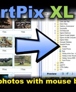 SortPix XL (2024) - Photo Management Software for Photo Organizing - Includes a Duplicate Photo Finder - Easy Photo Organizer Software for Windows 13 71 KYHHFY1L