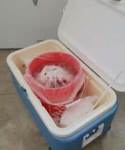 5 Gallon Bucket Liner Bags for Marinading and Brining - Durable, Food Grade, BPA Free, 25/Roll 15 71 LUYd6tpL