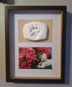 Pearhead Dog Or Cat Paw Prints Pet Wall Frame With Clay Imprint Kit, Pet Sentiment Keepsake Frame, Pet Memorial Picture Frame, Espresso 4 x 6" 41 71 Mkq 9DVL
