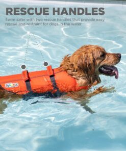 Outward Hound Granby Splash Orange Dog Life Jacket, Medium Granby (Flotation) Medium (Chest Girth: 21"-27") 23 71 POSyuZWL