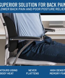 Everlasting Comfort The Original Lumbar Support Pillow - Improves Posture, Promotes Back Pain Relief - Superior Office Chair Back Support for Gaming and Desk Chairs - Lumbar Pillow for Car, Couch Black 23 71 PaEZbY4L