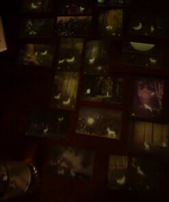 Glow In The Dark Postcards Set of 30 Woodland Animals Forest Deer Postcard Post Card Greeting Cards (Variety Pack) 32 71 QC7AgrnL
