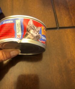 Purina Friskies Gravy Wet Cat Food Variety Pack, Shreds - (24) 5.5 oz. Cans Chicken, Turkey, Beef, Cheese 5.5 Ounce (Pack of 24) 30 71 QJ4FlYIL