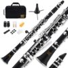 Eastar B Flat Clarinet for Beginner, Ebonite Clarinet Nickel-plated with 2 Barrels, 3 Reeds, White Gloves, Hard Case, Cleaning Kt, ECL-300 Nickel keys, Student style 22 71 SB65RPCL