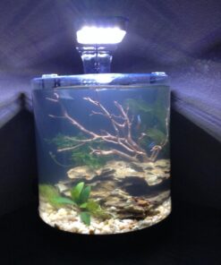 Boyd Chemi-Pure Blue Nano Aquarium (5 Pack) 16 71 Zvux2kKL