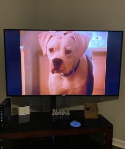 Homeward Bound - The Incredible Journey / Homeward Bound II - Lost In San Francisco DVD February 10, 2008 12 71 dY ygGqL