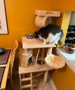 Go Pet Club Classic Cat Tree, Faux Fur Finish, Sisal Rope Scratcher, 62"H, Beige 38 71 dcTuT6HL