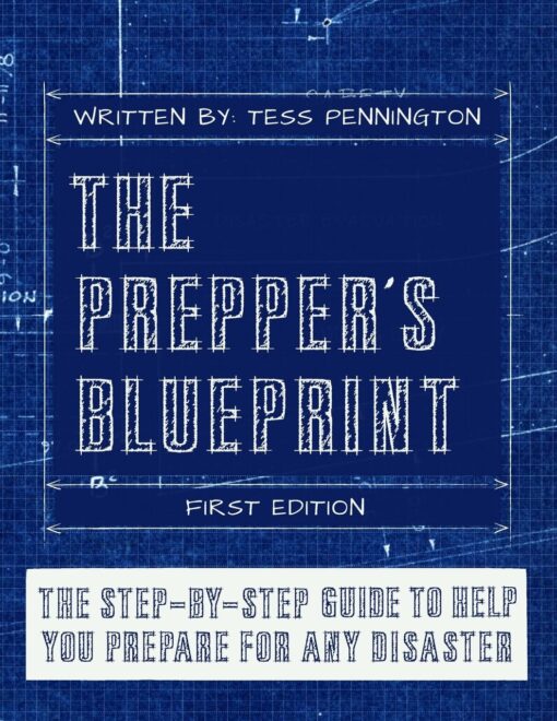 The Prepper's Blueprint: The Step-By-Step Guide To Help You Through Any Disaster