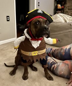 NACOCO Pet Dog Costume Pirates of The Caribbean Style (Large) L Brown 38 71 gj9CRTlL